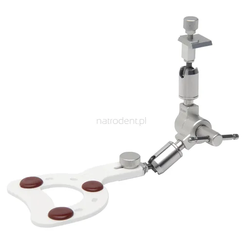 Transfer 3D do łuku twarzowego